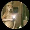 Brandon Avila - @brandonavila385 - TikTok