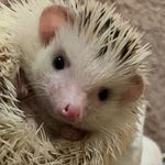 Brandon Bach - @brandonbach5 - Instagram