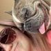 Brandon Bach - Facebook