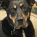 Brandon Barrett - Facebook