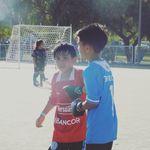 brandon_basso - @brandon_basso - Instagram