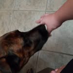 lil Bates - @brandon_bates56 - Instagram