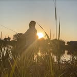 Brandon Behrens - @behrens2012 - Instagram