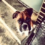 Brandon Belyeu - @brandon.balooo - Instagram