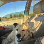 Brandon Benedict - @brandon.benedict.3781 - Instagram