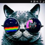 Brandon Bertram - @brandon44bertram - Instagram