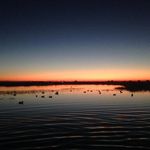 Brandon Bivins - @artcraftwoodturning - Instagram