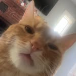 Brandon Blanchard - @brandonb2134 - Instagram