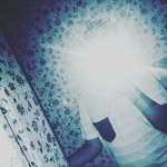 Brandon Bland - @king._bran.don._ - Instagram
