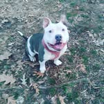 brandon bland - @brandon.blan - Instagram