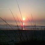 Brandon Boggs - @bboggs_ - Instagram