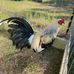 Brandon Bounds - Facebook