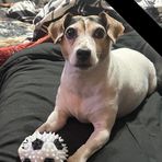 Brandon Bressman - Facebook