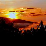 Brandon Brubaker - @brusterbaker - Instagram