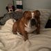 Brandon Burnside - Facebook