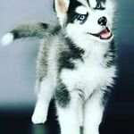 Brandon Burnside - @burnside2514 - Instagram