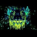 Brandon Burris - @brandon_burris18 - Instagram