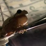 Brandon Burroughs - @brandon_burroughs123 - Instagram