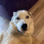 @brandon.cade_ - Instagram