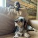 Brandon Brooke Cagle - Facebook