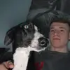 BRANDON - @brandoncam - TikTok