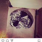 Brandon Cary - @bj_cary - Instagram