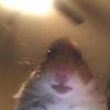 Brandon Chamblee - @brandonchamblee2 - TikTok