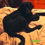 Brandon Cheek - @brandon.cheek.562 - Instagram