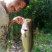 Brandon Cheney - Facebook