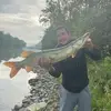 brandoncheney39 - @brandon.cheney7 - TikTok
