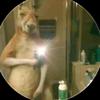 Brandon Chi - @vladi2539_brandon_ - TikTok