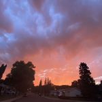 Brandon Chow - @brandon.44558 - Instagram