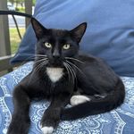 Brandon Clinger - @clinger_4 - Instagram