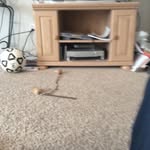 Brandon - @brandon_colburn2 - Instagram