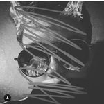 Brandon Colburn - @bc1joker12 - Instagram