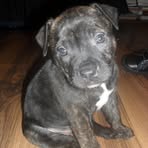 Brandon Colburn - Facebook