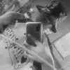 brandonconteres - @brandonconteres - TikTok
