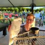 Brandon Cornwell - @cornwellbrandon - Instagram