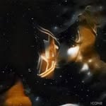 brandon coyle - @coyle8448 - Instagram