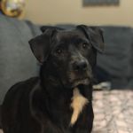 Brandon Craven - @bcrave_3 - Instagram