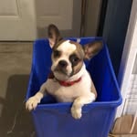 Brandon  Croghan - @brandoncroghan - Instagram