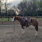 Brayton Croghan - Facebook