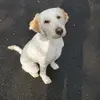 Brandon - @brandoncrouch010791 - TikTok