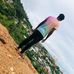 Brandon Dailey - Facebook