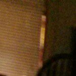 Brandon Dailey - @salvador_dailey - Instagram