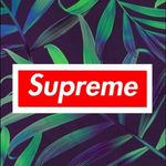 Brandon Dang - @dang79851 - Instagram
