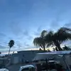 brandondeshazer - @brandondeshazer - TikTok