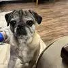 Brandon Dillon - @brandon.dillon21 - TikTok
