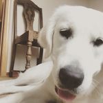 Brandon Donaldson - @bdonaldson445 - Instagram