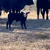 Brandon dotson - @dotson1231 - TikTok